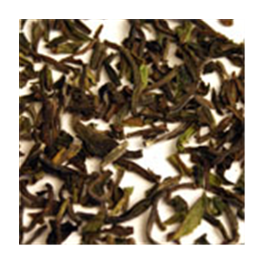Darjeeling First Flush