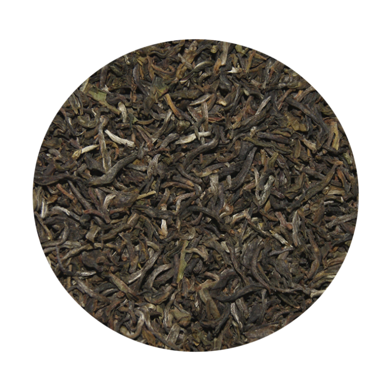 Darjeeling First Flush