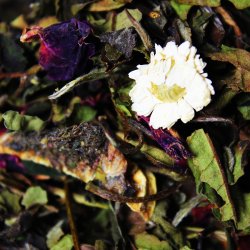 Hvid Earl Grey Vanilje te