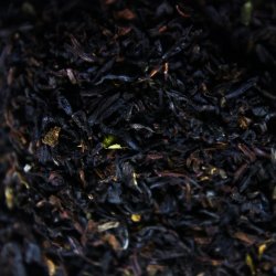 kologisk Darjeeling