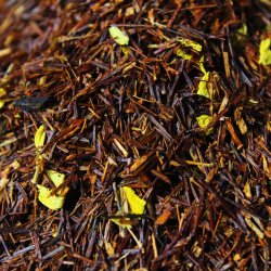 Rooibos Vanille