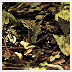 Hvid te med havtorn og jasmin