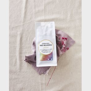 Holy Bean Costa Rica Tres Milagros